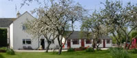 Hope Orchard