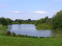 Phepson Farm Bed and Breakfast