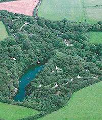 Cornish Tipi Holidays